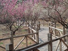 -香山公园