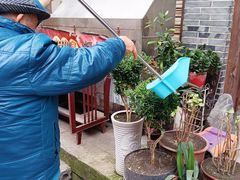 -海窝子古镇
