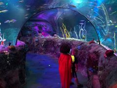 -沈阳海洋探索中心