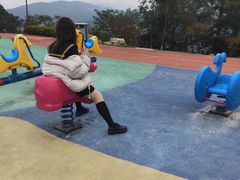 -铁山坪森林公园