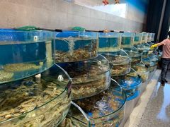 水产区-蓝珊甄选海鲜自助·火锅大排档(近阿那亚店)