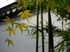 -秋霞圃