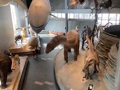 -自然博物馆(地铁站)