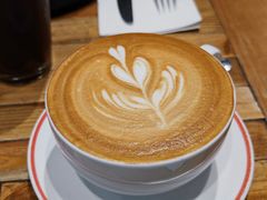 -Elephant Grounds(STARSTREET)