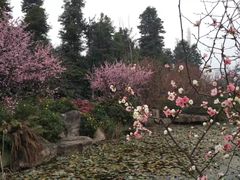-秀丽东方