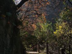 -西安金龙峡风景区