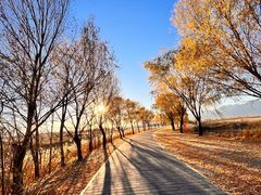 -野鸭湖国家湿地公园