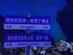 -横店影视城梦幻谷园区