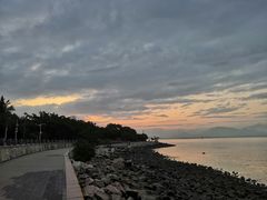 -深圳湾公园(南山区)