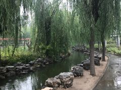 -大悲禅寺