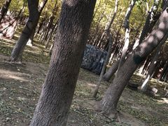 -亲兄弟真人CS团建拓展基地