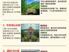 -紫藤园·天目湖大鱼头(南山竹海店)