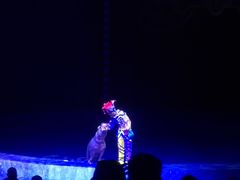 -珠海横琴长隆《卡卡虎奇遇记》