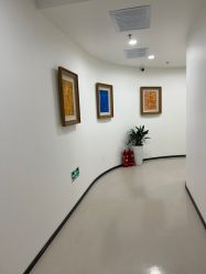 -丰联丽格医疗美容·联合丽格眼整形中心