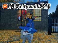 -三里屯东五街银杏大道