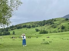 -新疆那拉提国家旅游度假区