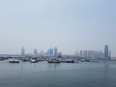 -星光岛