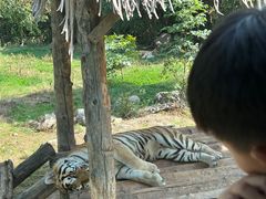 -西安秦岭野生动物园
