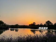 -西溪国家湿地公园