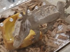 -石家庄海洋公园