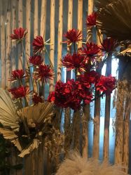 点击看大图 -花隐瑜伽·普拉提·红绳