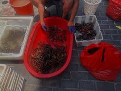 -老四川小龙虾(交通三巷步行街店)