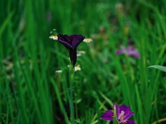 -苏州河梦清园环保主题公园