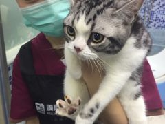 -美联众合爱康动物医院•复杂内科•肿瘤科•牙科•腔镜诊疗中心