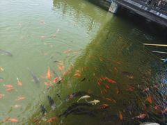 -西安华夏文旅水世界