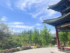 -太原动物园