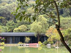 -云溪植物园