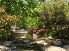 -思念果岭悦温泉