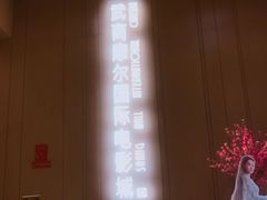 -武商摩尔影城(国广IMAX激光店)