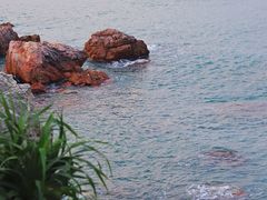 -西涌国际滨海旅游区