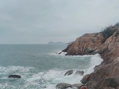 -广东惠东海龟国家级自然保护区