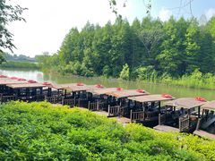 -溱湖国家湿地公园