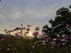 -红花湖景区