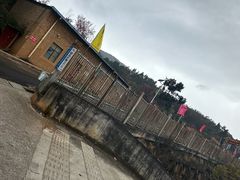 -长虫山生态公园风景林