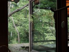 -中国茶叶博物馆(双峰馆区)