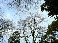 -中山公园