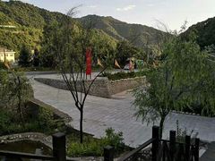 -青峰峡国家森林公园