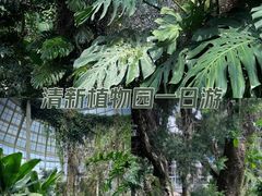 -昆明植物园