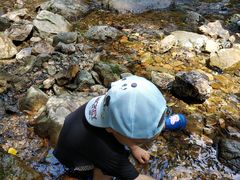 -花麦地溪边小厨(天台国清寺入口店)