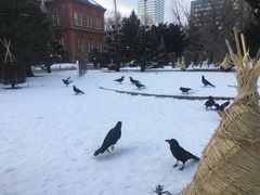 -北海道厅旧本厅舍(旧本庁舎)