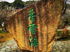 -香雪海