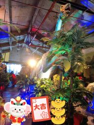 -恐龙探索乐园(磁器口店)
