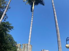 -晓港公园