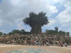-郑州银基国际旅游度假区