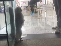 -拈菜(观音桥阳光世纪店)