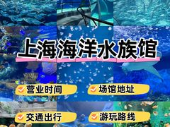 -上海海洋水族馆